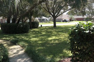 Creeks Edge View